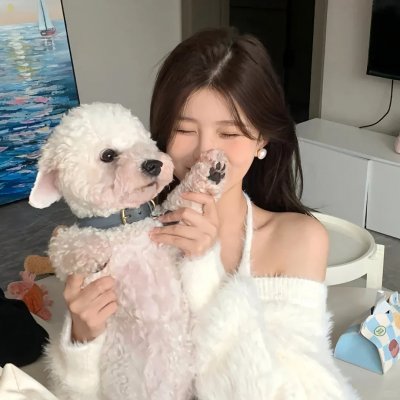 土豆侠第二季
